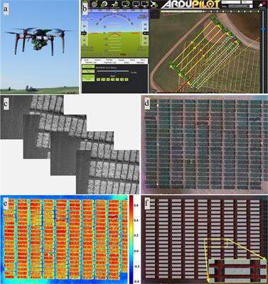Crop Performance Evaluation of Chickpea and Dry Pea Breeding Lines Across Seasons and Locations Using Phenomics Data